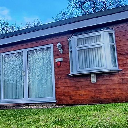 Ranger - Snowdon Cabins Holiday Let Caernarfon Caeathro 外观 照片